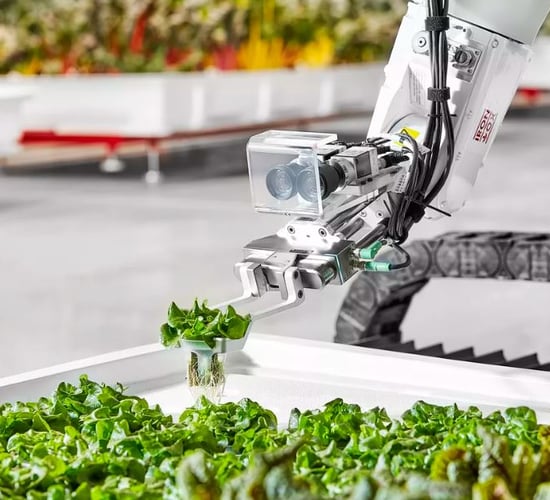 Take a look at America's first robotic farm