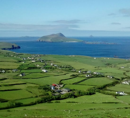 New rural homes 'already too expensive for young people' - IPAV