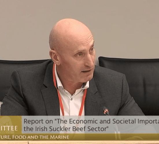 Jim Power report 'was still not ready for publication' in January - Woods