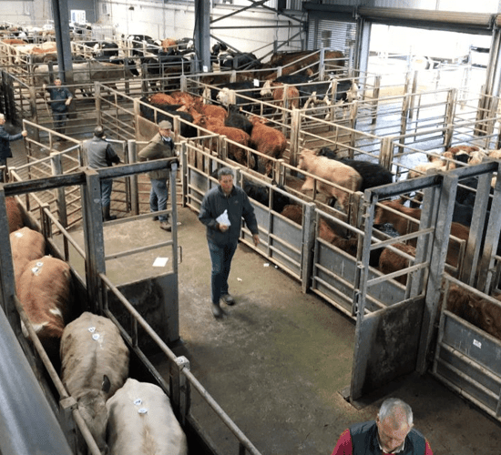 Calls for funding 'to get marts back on track' after Covid-19