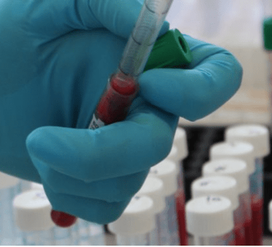 Why do some cattle escape TB or liver fluke infection?