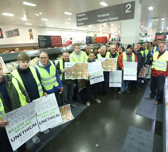 Number of Irish vegetable growers drops 56% in 15 years