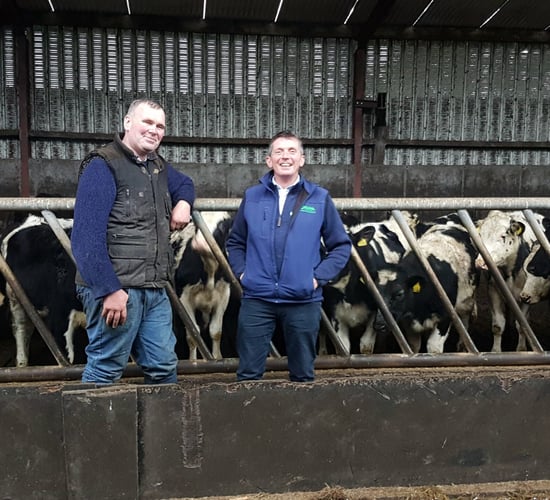 How can I cut my calf rearing costs by 60%?