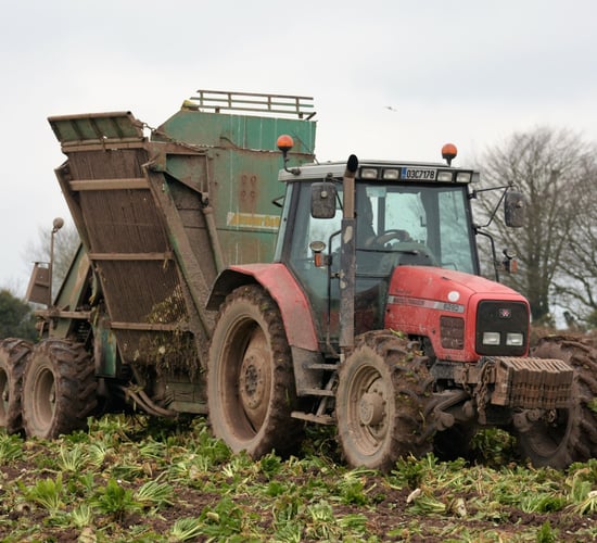 Field work underway in many places