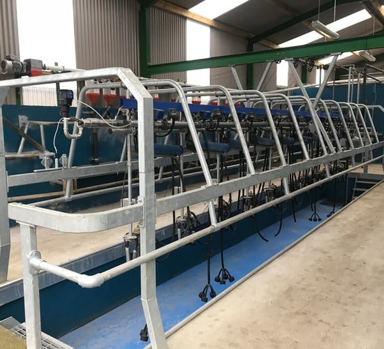 'We went OAD milking purely for lifestyle reasons'