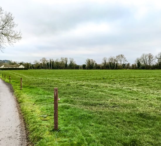 The best order to close paddocks for spring 2023 grazing