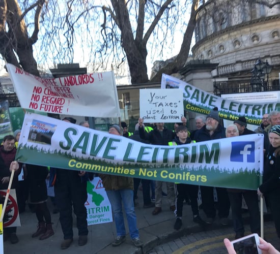Save Leitrim weighs in on forestry licensing