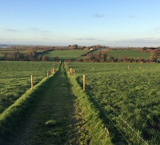 47ac residential farm offers commercial and agricultural potential
