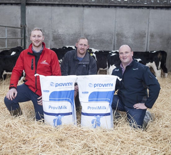 What makes a good dual milk replacer?