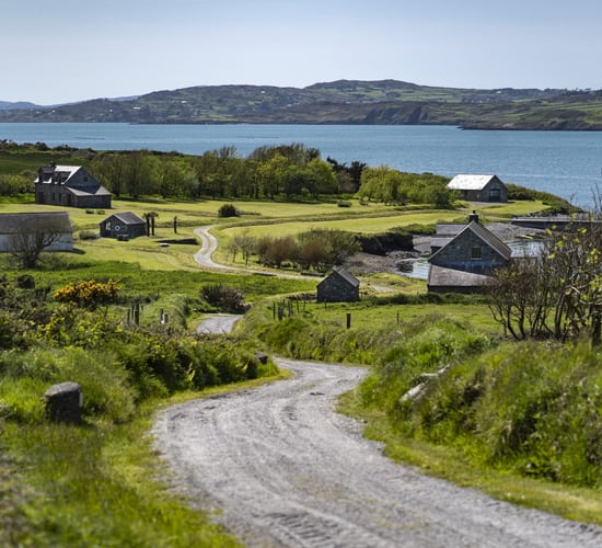 Land: Long-term lease options available with prices to level out in 2019