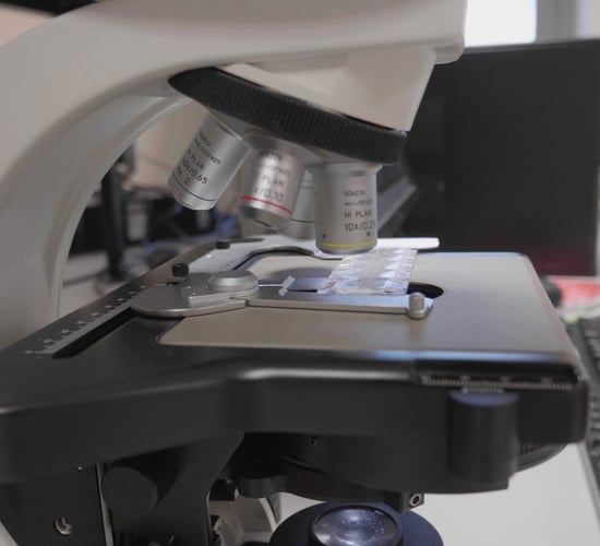 Gene-editing to be reviewed by EU in 2021