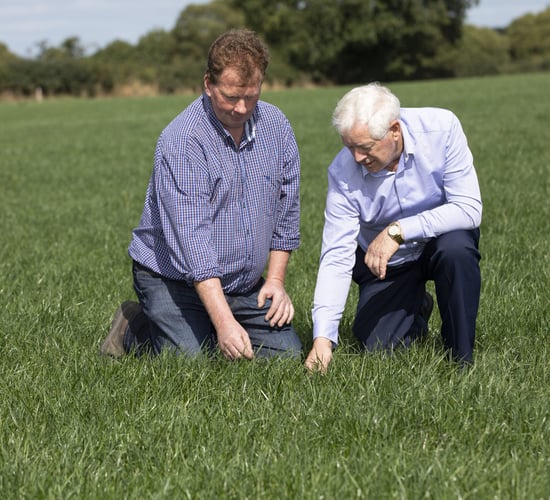 Best practice when spreading urea