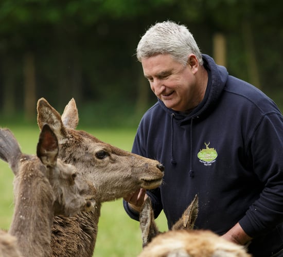 Cork 'mindful farmer' builds on 'retrEAT' enterprise