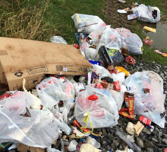 Waterford farm hit by post-festive dumping