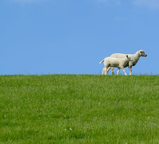 EU agri committee urged to visit border region