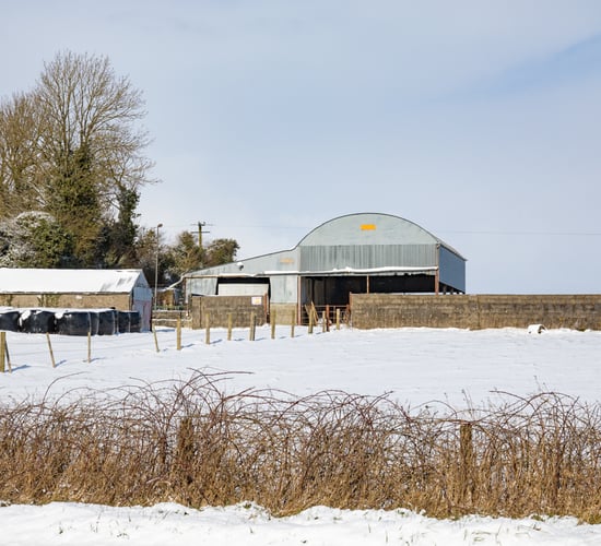 Status Orange snow warning issued for several counties