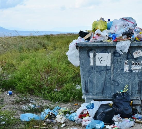 Government to cease purchase of single-use plastics from today