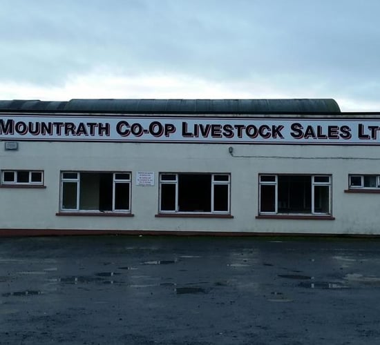 Mountrath Mart aiming to resume sales in July