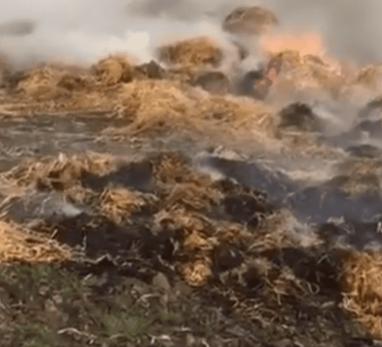 Christmas chaos: 50 bales lost in Kerry farm fire