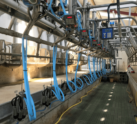 Dairy advice: Servicing the milking machine and bulk tank