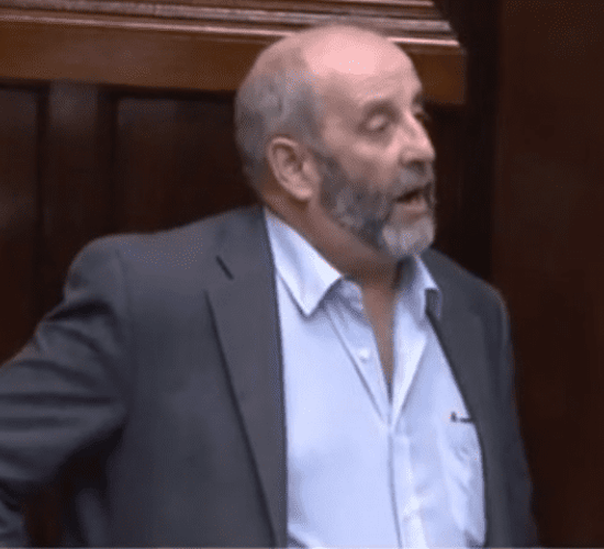 Healy-Rae: 'Outlandish' to consider deal with Mercosur