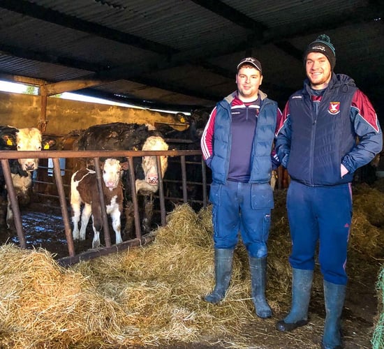 Farmers of Mullinalaghta have 'bull's eye focus' on battle ahead