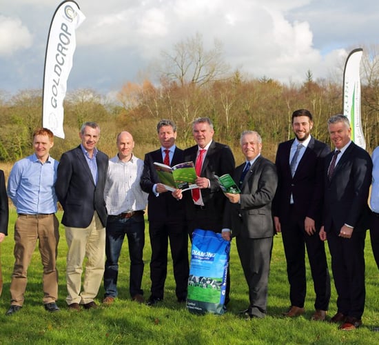 New Irish grass variety - Oakpark - makes the cut