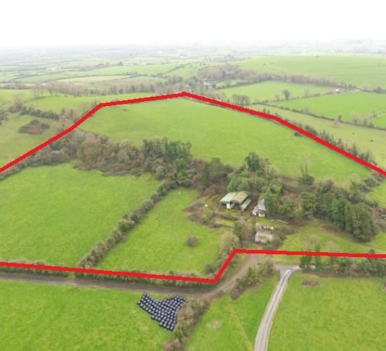 Superb holding ideal for beef, dairying or equestrian uses on 74ac