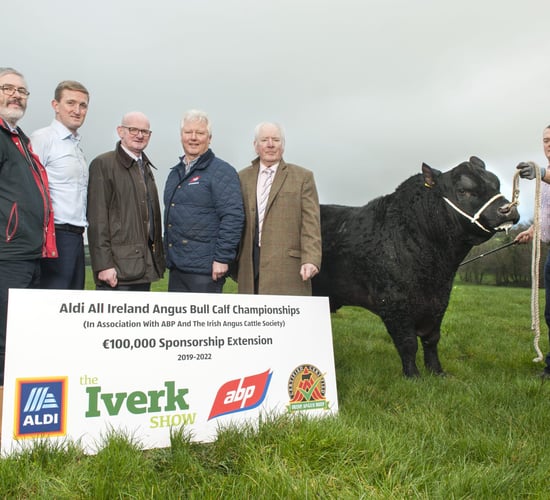 Aldi extends All-Ireland Angus championships sponsorship