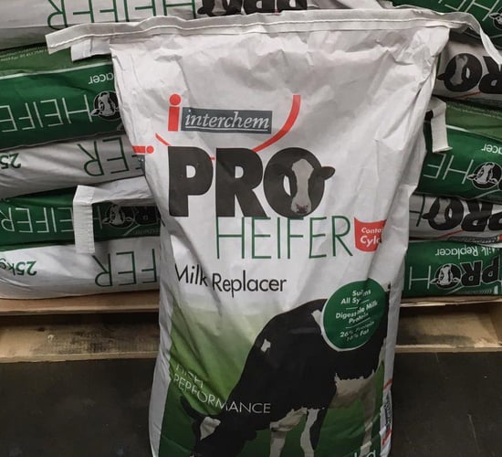 5 important factors when feeding a milk replacer