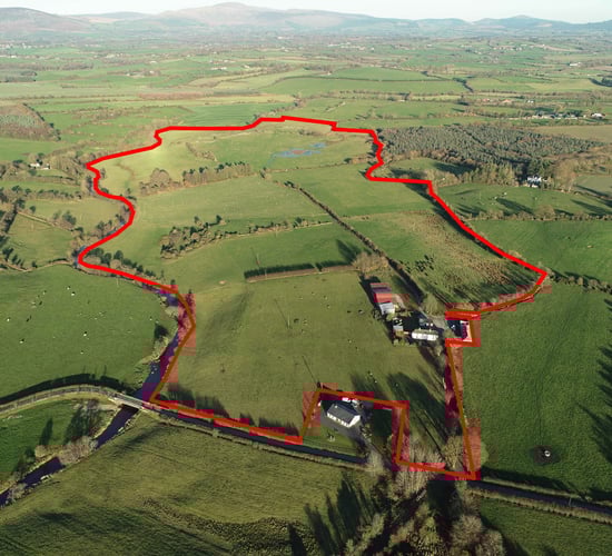 'Very fine' grass farm in one block for sale by public auction in Co. Carlow