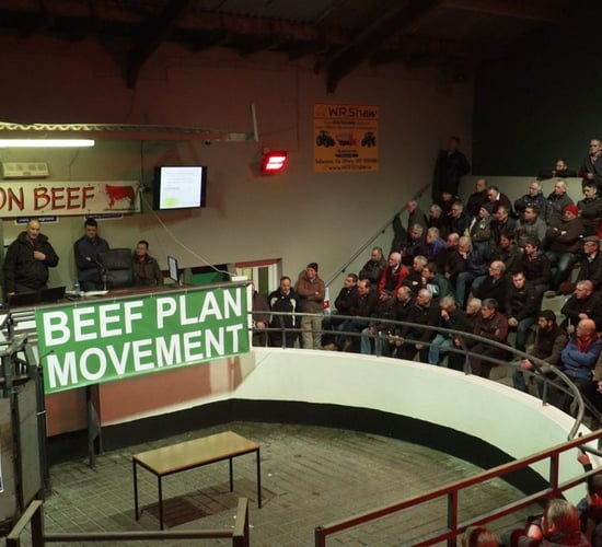 Beef Plan Movement set to stage first official protest