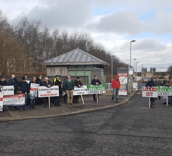 'Absence of TB Forum invite is disappointing' - Beef Plan