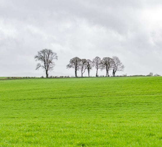 Weather to turn colder from next week