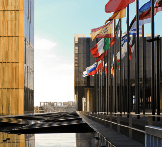 EU organic logo can't be used on 'non-stunned produce' - ECJ