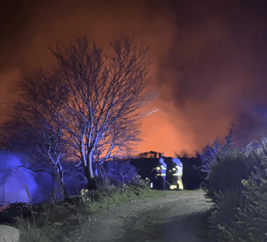 Dangers underlined as Coillte urges public to avoid outdoor fires