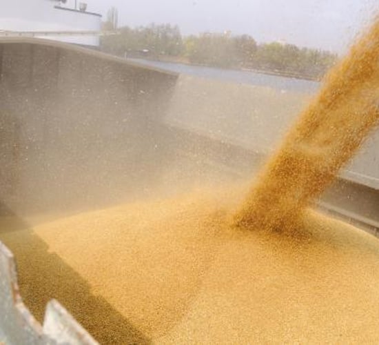 Grain price: Jump in the middle of the week