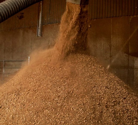Farmers raise concerns over homegrown rations at Teagasc event