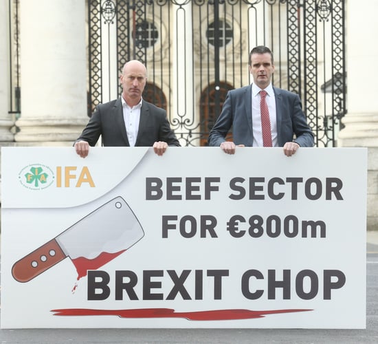 Beef sector facing '€800 million direct hard Brexit hit' - IFA