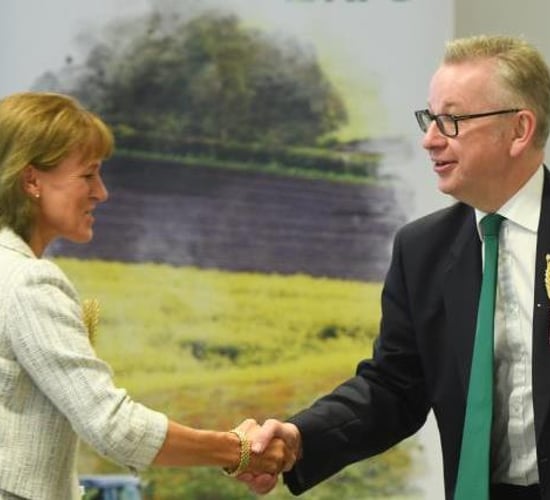 UK Government urged not to undermine food standards in trade deals