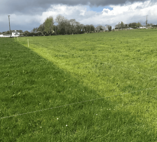 Grass advice: Starting the second round and grass growth