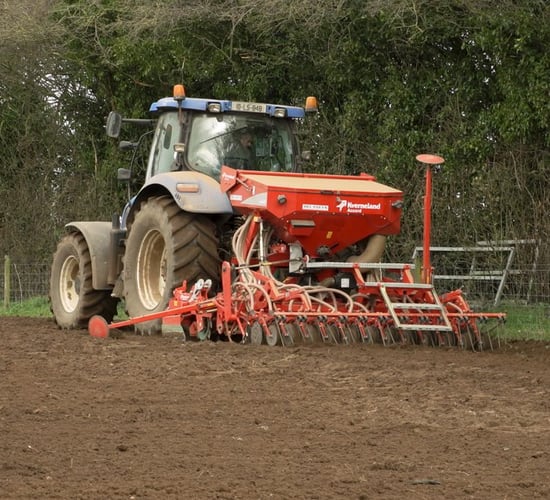 Getting the right seed rate in your spring cereals