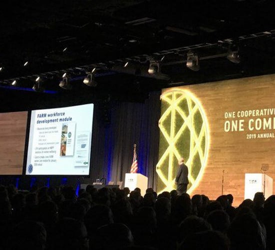 US co-op's milk sales plummet by $1.1 billion in 2018