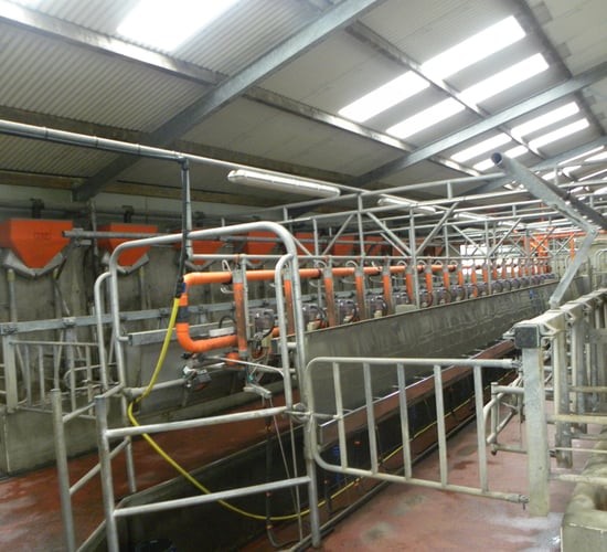 How did Northern Irish milk prices fare in December?