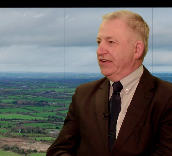 Boyle: Teagasc 'didn't apply methodology' for grass-fed beef standard