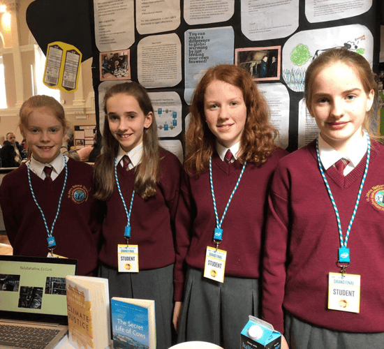 Clare pupils win Intel award for ‘Cows, The Good, the Bad, and the Ugly’ project