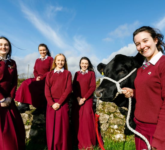 Winners of the 2019 Angus Beef Schools' Competition announced