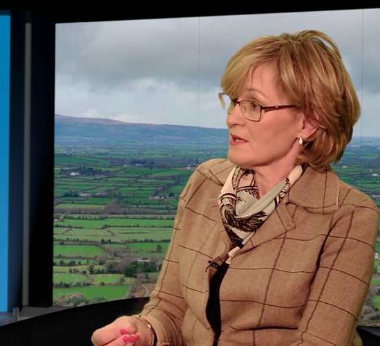 McGuinness becomes first MEP elected in Ireland