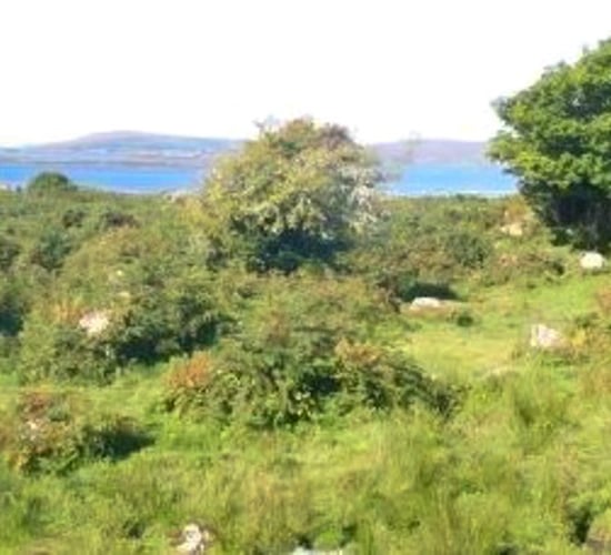 Coastal farm sees guide price of €2,941/ac in Co. Galway
