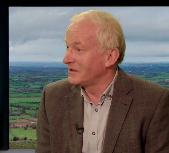 'Cows are not risk-takers': Vet explains causes of lameness